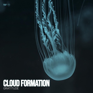 Обложка для Cloud Formation - Gratitude