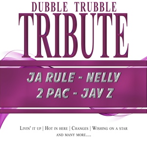 Обложка для Dubble Trubble - How Do You Want It