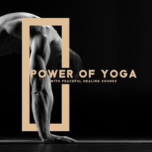 Обложка для Yin Yoga Academy - Calmness Mind