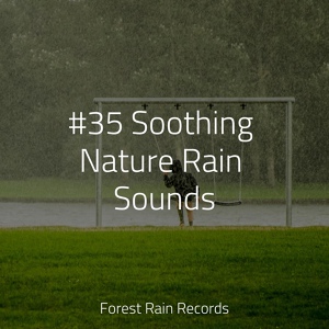 Обложка для Nature & Sounds Backgrounds, White Noise Relaxation, Deep Sleep Meditation - Birds Singing by a Waterfall
