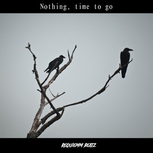 Обложка для ReQuiemm Beatz - Nothing, Time to Go