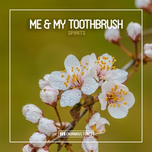 Обложка для Me & My Toothbrush - Spirits