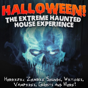 Обложка для Halloween FX Productions - Ghost House