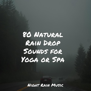 Обложка для Rain Sound Studio, Entspannungsmusik, Música Zen Relaxante - Rain, Drain, Cement, Lawn