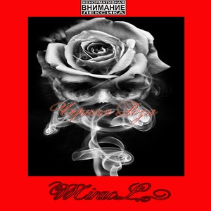 Обложка для MiracLЪ - Чёрная роза