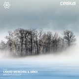 Обложка для Liquid Memoirs, Arkii - Feeling Good