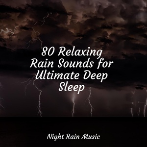 Обложка для Meditative Music Guru, Sleeping Baby Songs, Tranquility Spa Universe - White Noise Roof Shed Rain