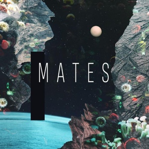 Обложка для Mates - The Shyness