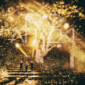 Обложка для Trad.Attack! - Nuudispolka