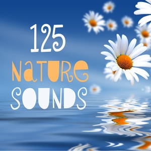 Обложка для 125 Nature Sounds - River Stream and Violin Music Natural White Noise for Deep Sleep - Soothing Nature Lullaby for Baby. Well Being Sounds