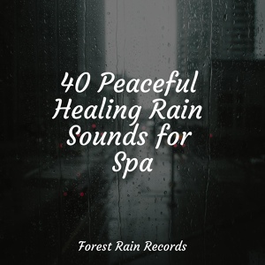 Обложка для Relaxation Personal Guru, Rain Sound Plus, Rain Storm Sample Library - City Rains