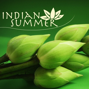 Обложка для Indian Summer Maestro - Indian Ocean