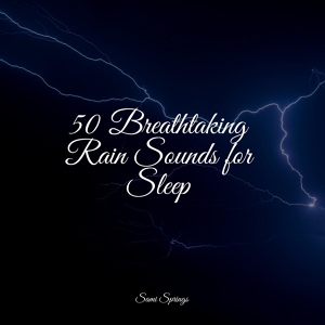 Обложка для 125 Nature Sounds, Sleep Rain, Active Baby Music Workshop - Rainy, Windy Pathway