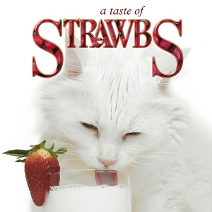 Обложка для Strawbs - Part of the Union