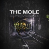 Обложка для The Mole - Feel The Bass