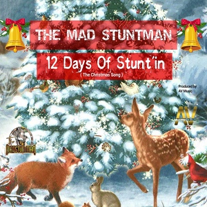 Обложка для The Mad Stuntman - 12 Days of Stunt'in