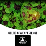 Обложка для Mindfulness Meditation Music Spa Maestro - Deep Celtic Regeneration