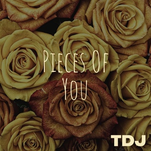 Обложка для TDJ - Pieces of You