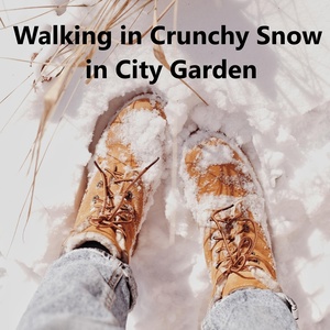 Обложка для GG World Sounds - Walking in Crunchy Snow in City Garden