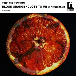Обложка для The Skeptics, Phoebe Train - Close to Me