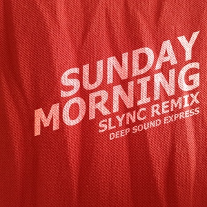 Обложка для Deep Sound Express & Too Techs - Sunday Morning