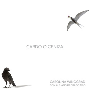 Обложка для Carolina Winograd - Desde el Alma