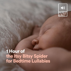 Обложка для Nursery Rhymes - 1 Hour of the Itsy Bitsy Spider for Bedtime Lullabies, Pt. 24