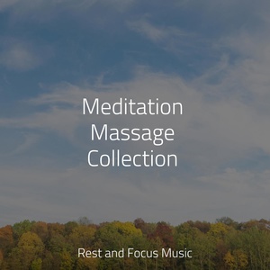 Обложка для Tranquility Spa Universe, Massagem Coleção de Músicas, Spa Relaxation & Spa - Cascading Breeze