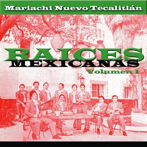 Обложка для Mariachi Nuevo Tecalitlan - Jarabe Largo Ranchero