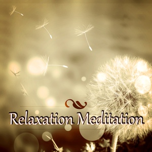 Обложка для Om Meditation Music Academy - Reiki Sleep
