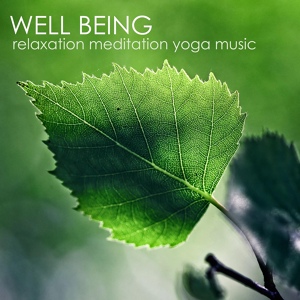 Обложка для Relaxation Meditation Yoga Music Masters - Total Relax