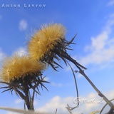 Обложка для Anton Lavrov - A Song for Chet Atkins
