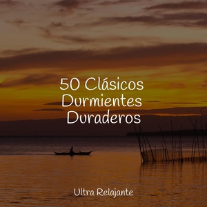 Обложка для Cascada de Lluvia, Musica Para Dormir y Sonidos de la Naturaleza, Meditación - Luz Solar Parcheada