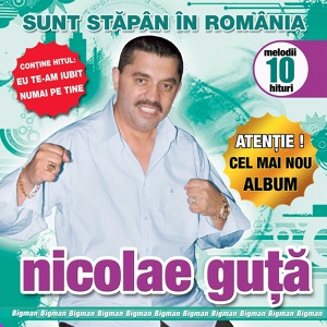 Обложка для Nicolae Guță - Straine, Straine