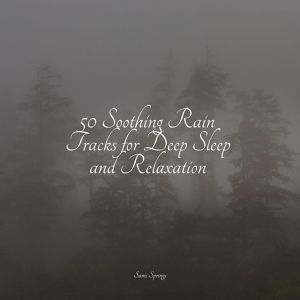 Обложка для Lluvia, Sleep Sounds of Nature, Rain and Nature - Singing Woods