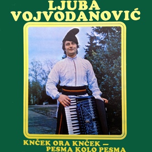 Обложка для Ljuba Vojvodanovic - Golubinka Dvojka