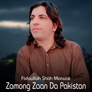 Обложка для Fidaullah Shah Marwat - Zamong Zaan Da Pakistan
