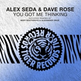 Обложка для Alex Seda & Dave Rose - You Got Me Thinking