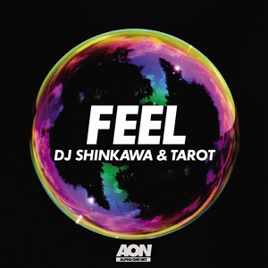 Обложка для DJ Shinkawa, Tarot - Feel