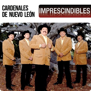 Обложка для Cardenales De Nuevo León - Si Ella Supiera