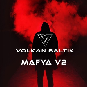 Обложка для Volkan Baltik - Şevko