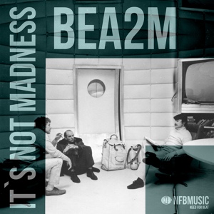 Обложка для Bea2m - It`s not Madness (Skaarj Remix)
