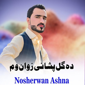 Обложка для Nosherwan Ashna - Da Gul Pa Shane Zwan Wam