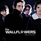 Обложка для The Wallflowers - Feels Like Summer