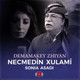 Обложка для Necmed&#238;n Xulam&#238; feat. Sonia Asadi - Demamekey Zhiyan