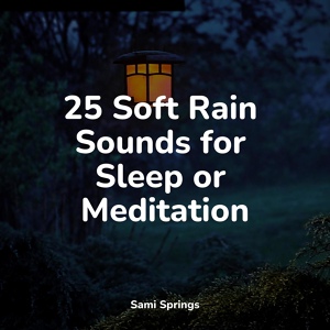 Обложка для Sons da Natureza, Happy Baby Lullaby Collection, Oasis of Meditation - Flowing Rains