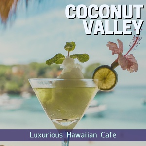 Обложка для Coconut Valley - The Place Where We Belong