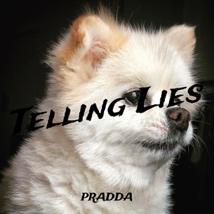 Обложка для Pradda - Telling Lies