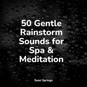 Обложка для Sleep Songs 101, Tranquility Spa Universe, Gentle Rain Makers - Rainy Beach