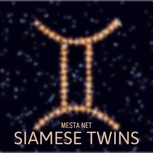Обложка для MESTA NET - Let's go together